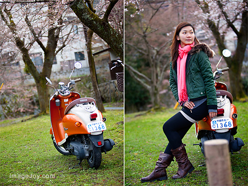 櫻花樹下橙色的小綿羊摩托車