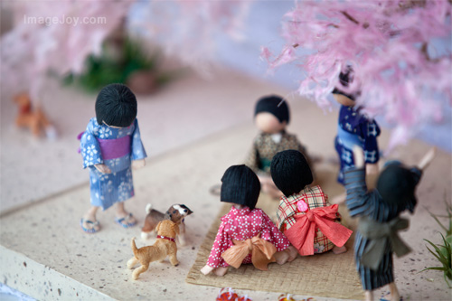 櫻花樹下的小孩