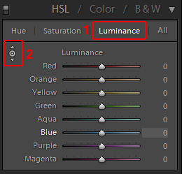 Lightroom Luminance 工具