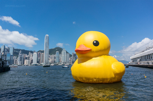 香港黃色橡皮鴨 Rubber Duck