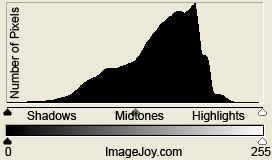 Histogram