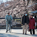 京都賞櫻之旅：銀閣寺