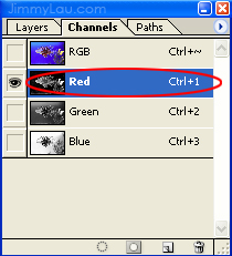 紅色通道 (Red Channel)