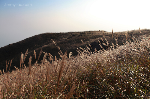 日落大東山爛頭營 (Sunset Peak)