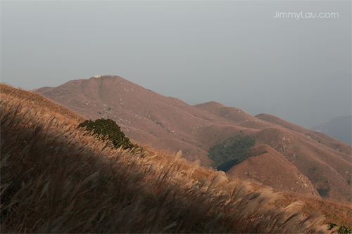 日落大東山爛頭營 (Sunset Peak)