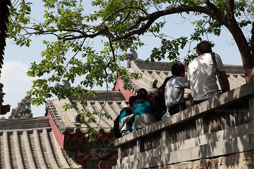 龍門石窟(Longmen Grottoes)