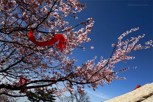 西岳華山