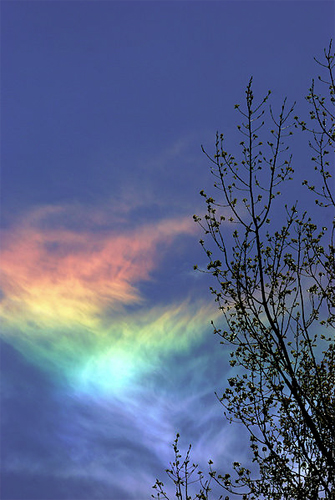 火彩虹/環地平弧 (Fire Rainbow)