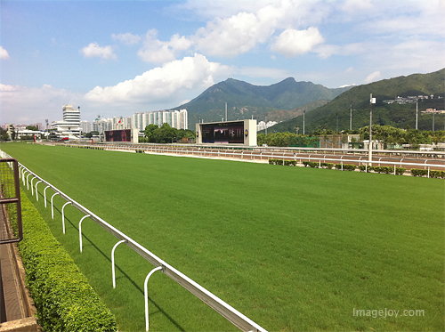 沙田馬場