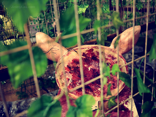 時代廣場瘋癲動物園