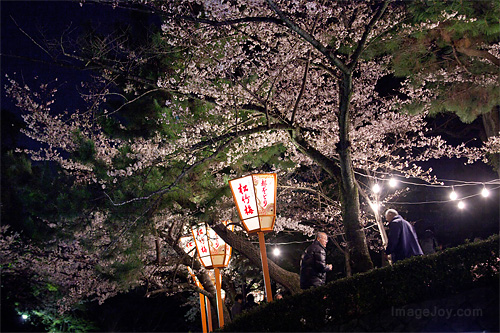 圓山公園近入口處