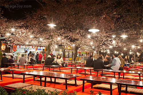 圓山公園露天食店