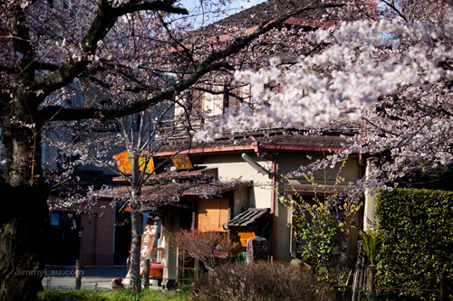 銀閣寺