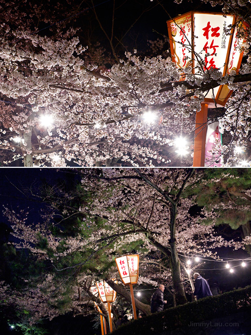 京都圓山公園