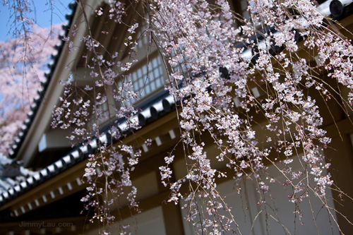 醍醐寺