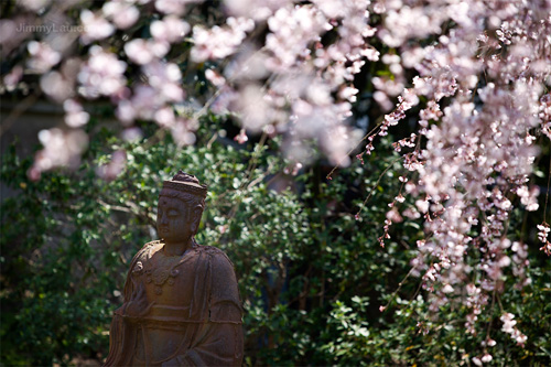 醍醐寺