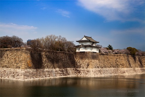 大阪城公園櫻花