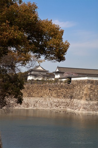 大阪城公園櫻花