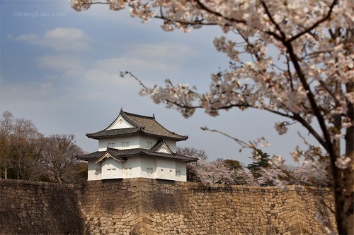 大阪城公園櫻花