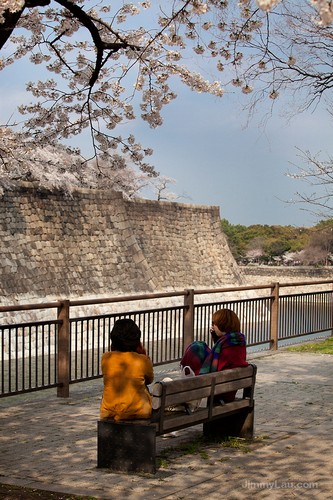 大阪城公園櫻花