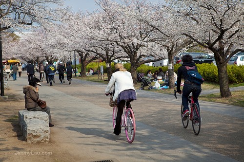 大阪城公園櫻花