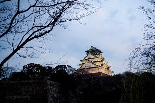 大阪城公園櫻花