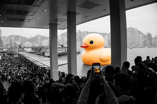 香港黃色橡皮鴨 Rubber Duck