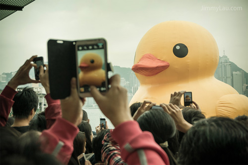 香港黃色橡皮鴨 Rubber Duck