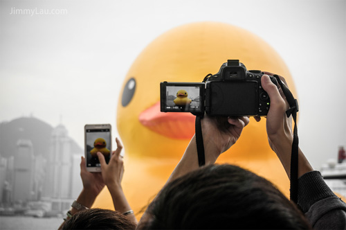 香港黃色橡皮鴨 Rubber Duck