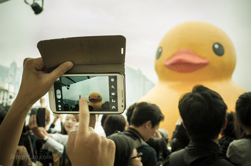 香港黃色橡皮鴨 Rubber Duck