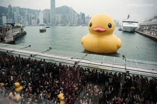 香港黃色橡皮鴨 Rubber Duck