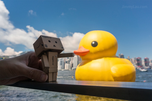 香港黃色橡皮鴨 Rubber Duck