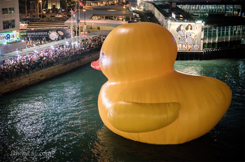 香港黃色橡皮鴨 Rubber Duck