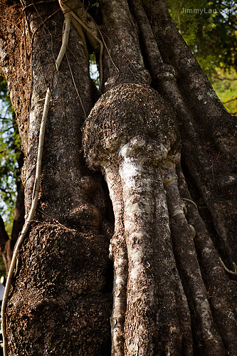 素可泰歷史公園(Sukhothai Historical Park)