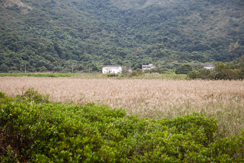 鹿頸至谷埔