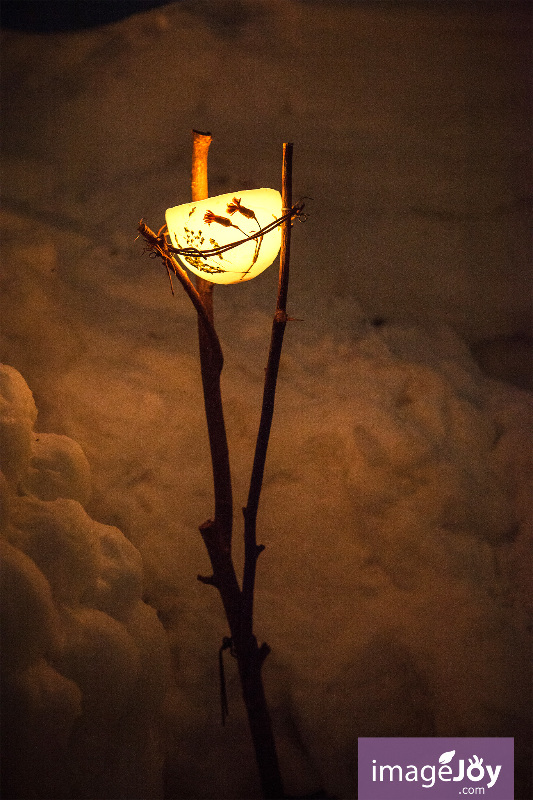 北海道小樽雪祭