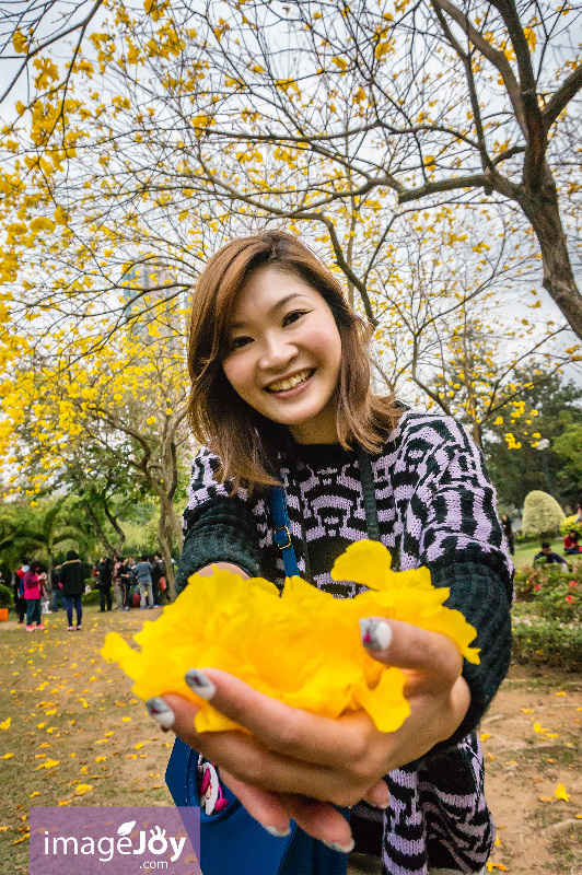 南昌公園風鈴木