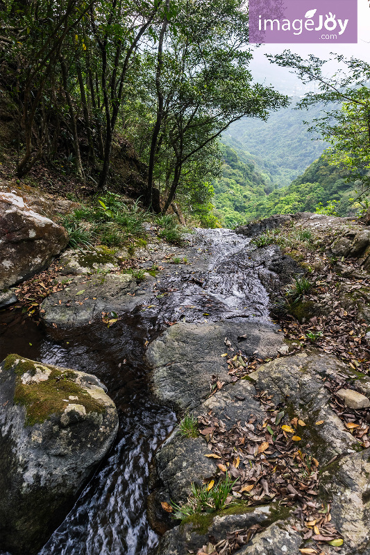 梧桐寨流水