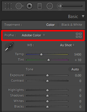 Adobe Lightroom Profile