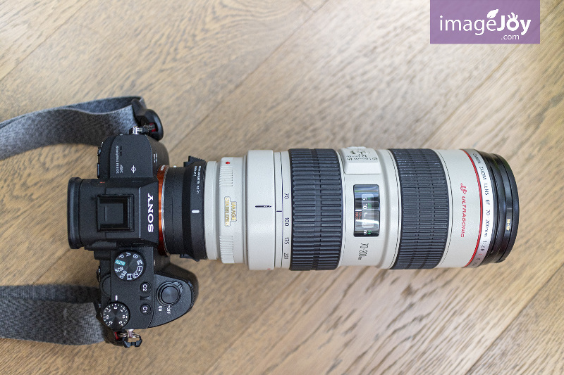 Canon 70-200 f/2.8 USM 鏡頭和 Sony A7 III 相機