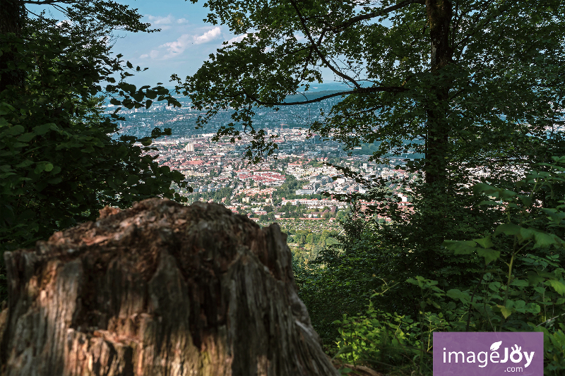 玉特利山塔(Uetliberg Tower)