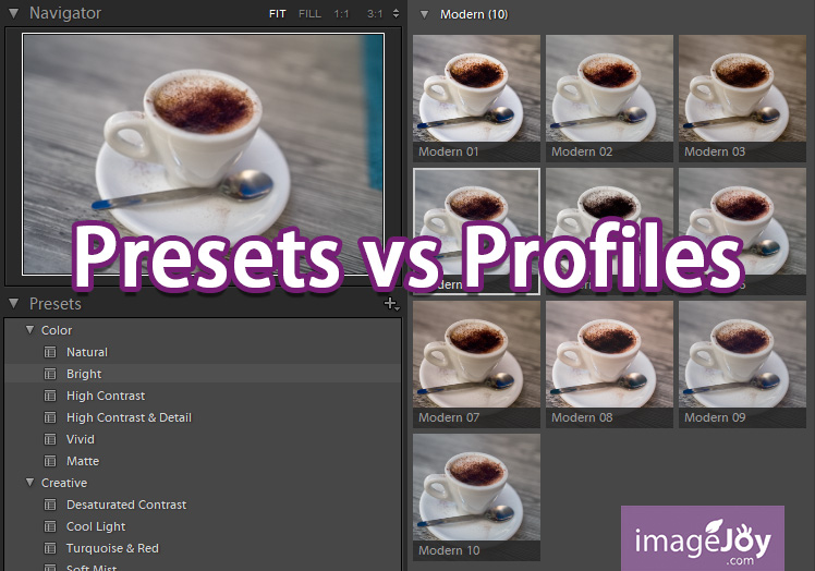 Lightroom Preset vs Profiles