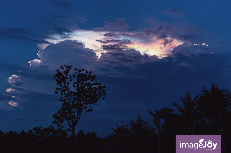 彩雲  Iridescent Clouds