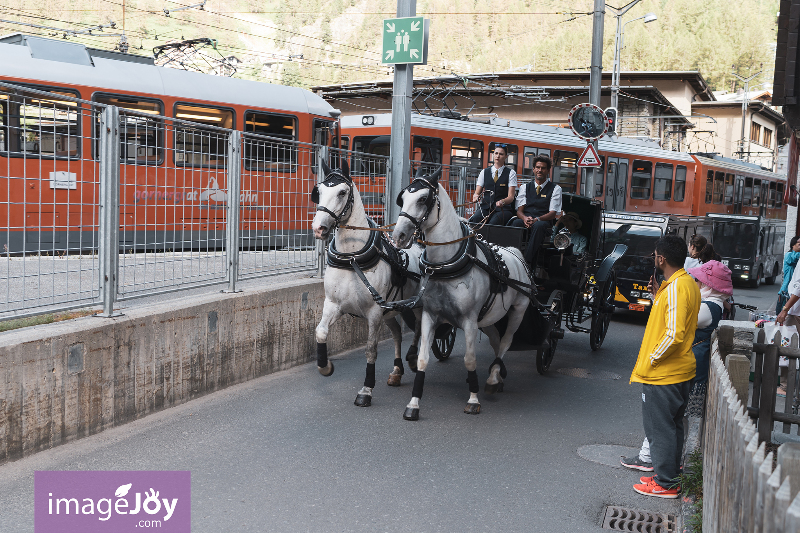 酒店馬車