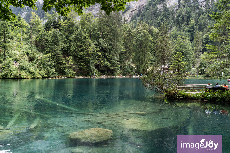 Blausee (藍湖)