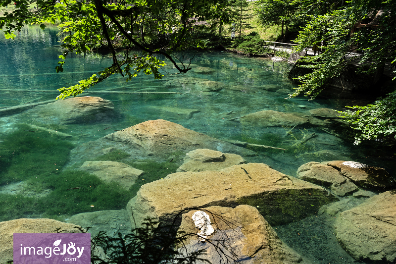 Blausee (藍湖)