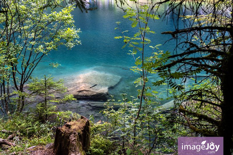 Blausee (藍湖)