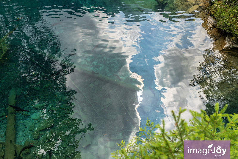 Blausee (藍湖)