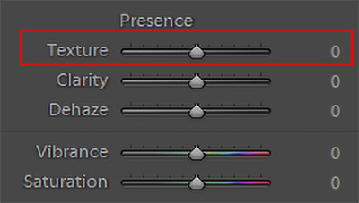 Lightroom: Texture (紋理)